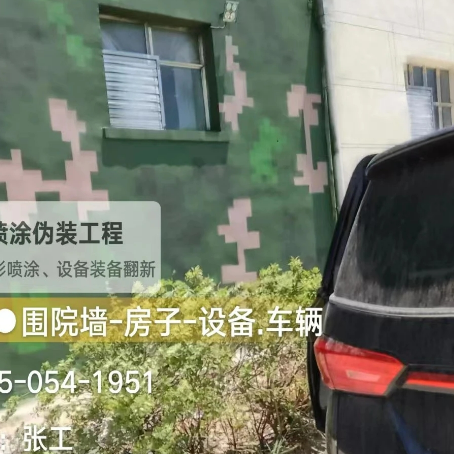 宣城数码迷彩漆施工